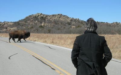 Contre la carence de l’imaginaire : du Larzac aux nouvelles communes. Entretien de Jean Rouaud avec Pierre Schoentjes autour de «L’Avenir des simples»