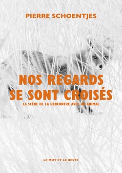 Parution: Pierre Schoentjes, “Nos regards se sont croisés” (Le Mot et le reste)